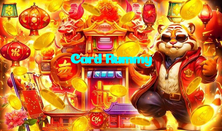 available types of Card Rummy bet including pre-match live express and system bets